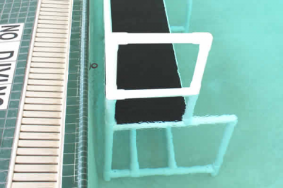 Purchase an SS-150 Swim Station from H2O Innovations